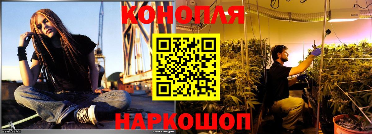 Бошки Шишки план Киров
